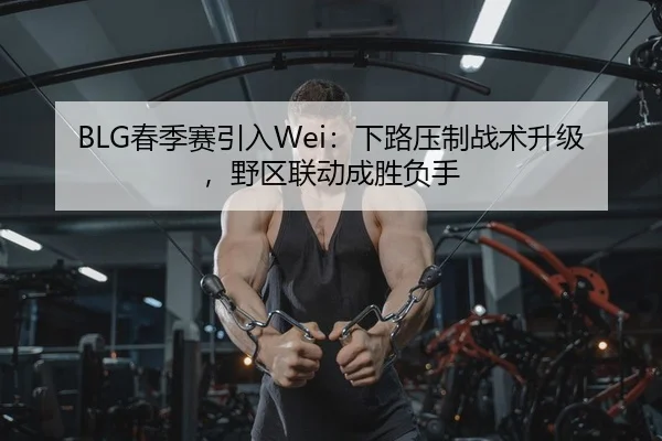 BLG春季赛引入Wei：下路压制战术升级，野区联动成胜负手